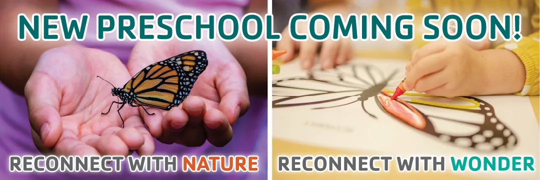 New Preschool coming soon! Reconnect with Nature, reconnect with Wonder. On the left is a close-up photo of an orange butterfly with black banding and white spots resting in the palm-up hands of a small child. On the right is a close-up of a different child holding an orange crayon, coloring in artwork of a similar butterfly.